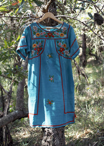 Romina Mini Dress in Blue