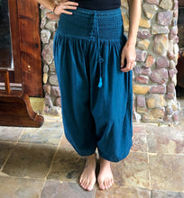 Load image into Gallery viewer, Drawstring Pants - Blue